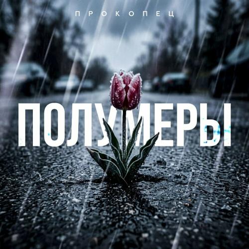 Прокопец - Полумеры