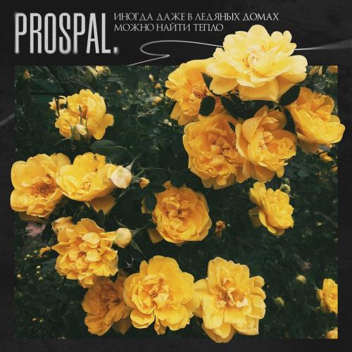 prospal․ - Иногда даже в ледяных домах можно найти тепло