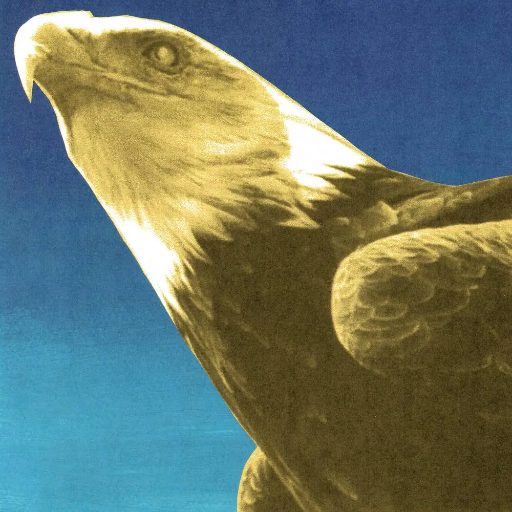 Exalted Eagles - Protomartyr