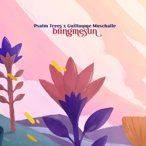 Psalm Trees & Guillaume Muschalle - Bringmesun