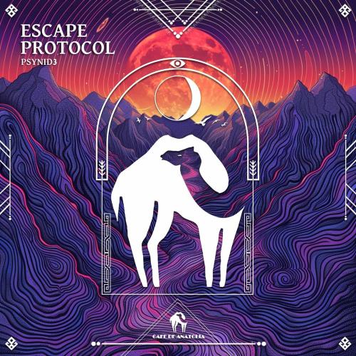 PSYNID3 & Cafe De Anatolia - Escape Protocol