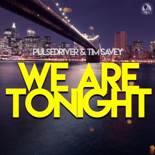 Pulsedriver feat. Tim Savey - We Are Tonight