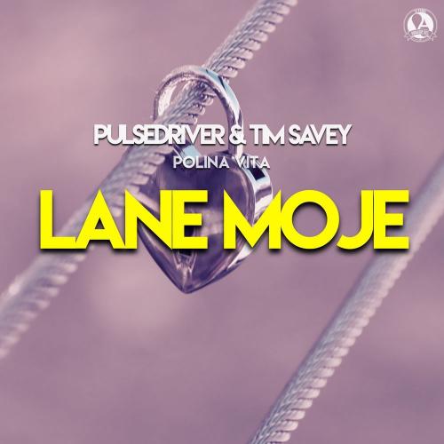 Pulsedriver, Tim Savey & Polina Vita - Lane Moje