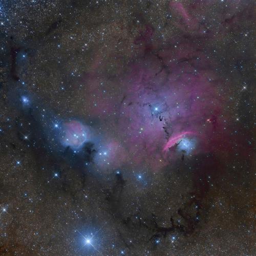 Pulso - Dull Sheen