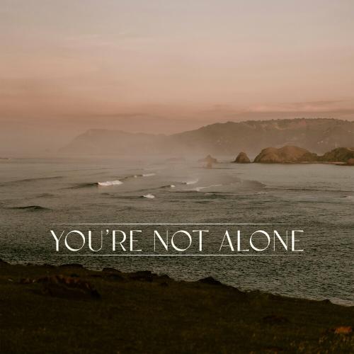 Punctual feat. RY X - You Are Not Alone