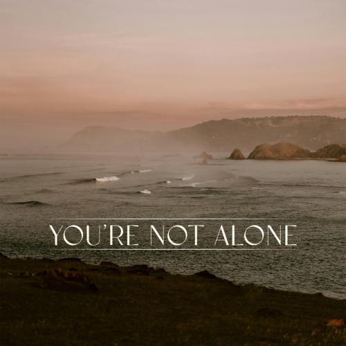 Punctual & RY X - You're Not Alone