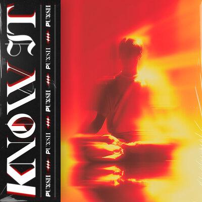 PUNSH - Know It