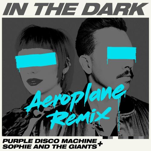Purple Disco Machine & Sophie and the Giants - In the Dark (Aeroplane Remix)