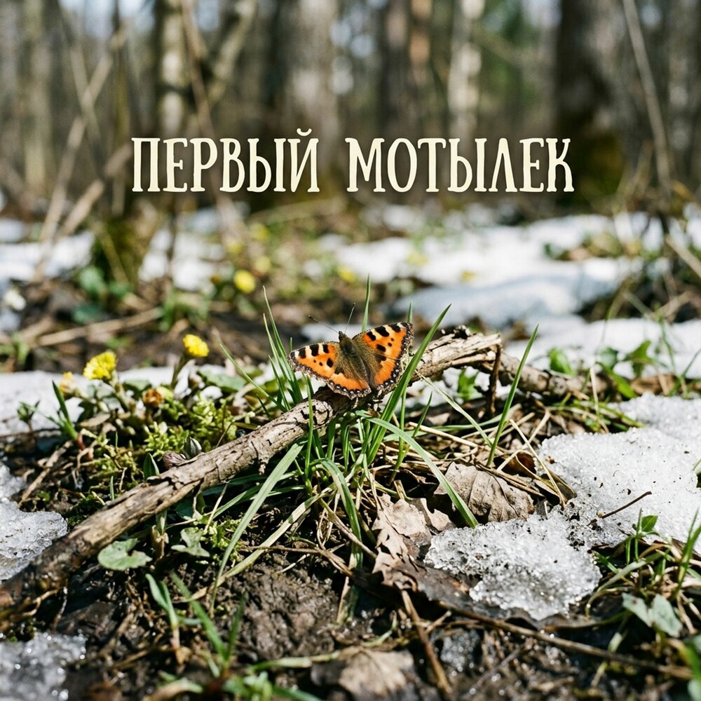 Первый мотылек - Пустые грезы