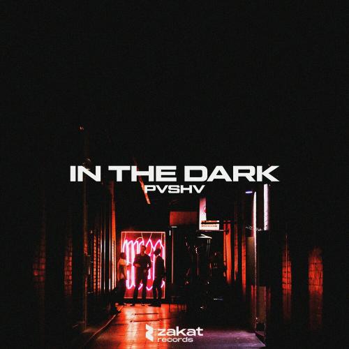 In The Dark - PVSHV