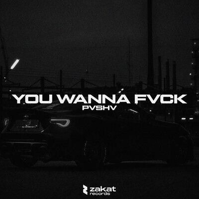 PVSHV - YOU WANNA FVCK