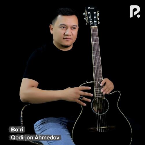 Qodirjon Ahmedov - Bo'ri