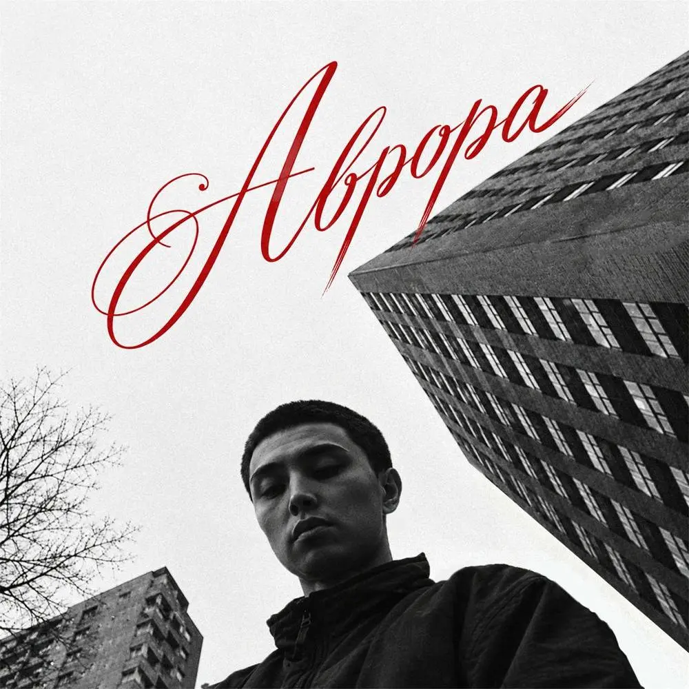 Аврора - Qontrast