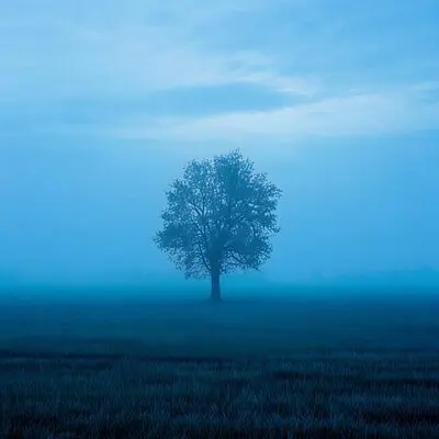 Loneliness - Quartz Beatz