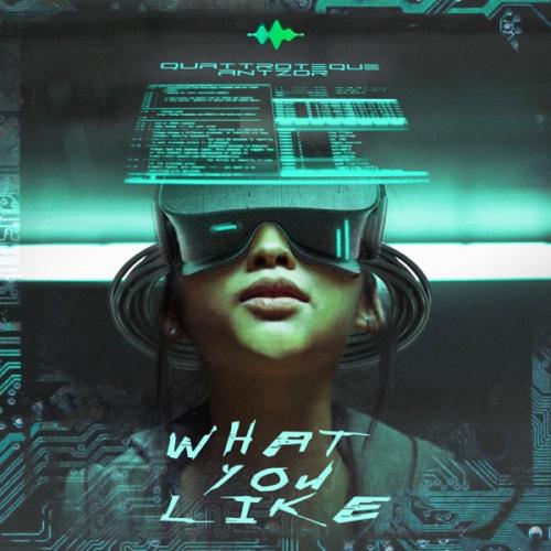 QUATTROTEQUE & Antzor - What You Like