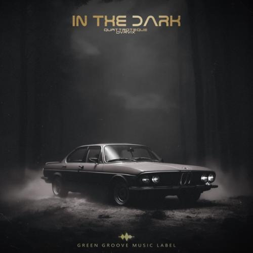 QUATTROTEQUE & DVRVIX - In The Dark