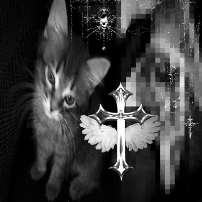 Ты похож на кота x mylancore - qwzbtw0, DXST