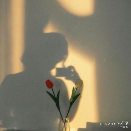 Almost Told You - Rae