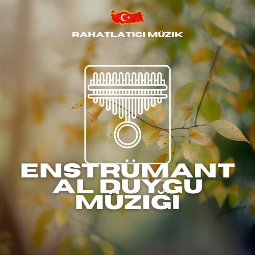 Mutlak Uyku Müziği - Rahatlatıcı Müzik