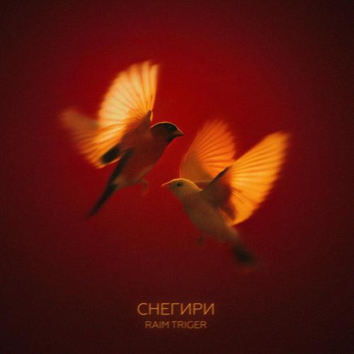 RAIM TRIGER - Снегири