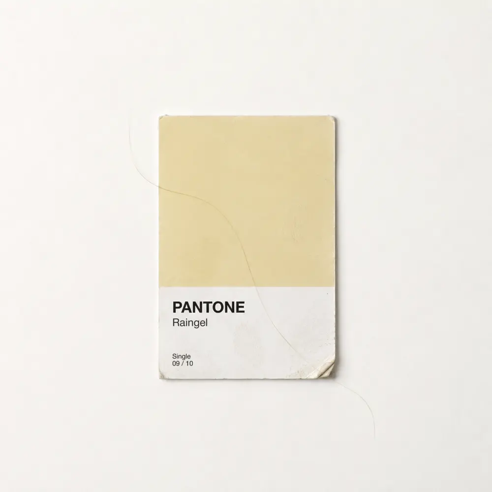 PANTONE - Raingel