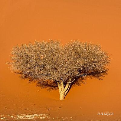 Рамбутан - Замри