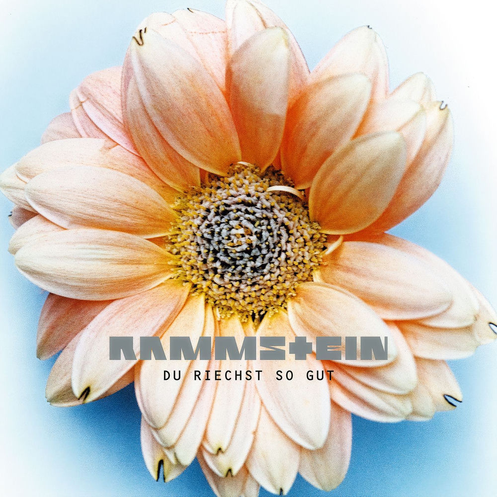Rammstein - Du Riechst So Gut (Single Version)