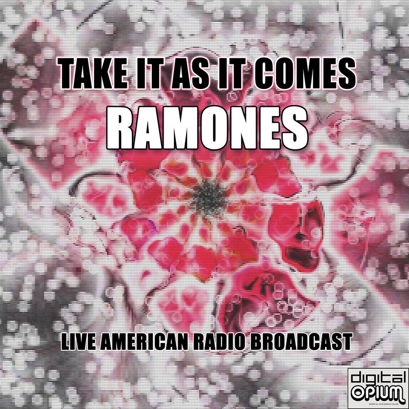 I Believe In Miracles (Live) - Ramones