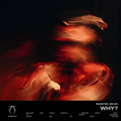 Rasster & Me.ee - Why_