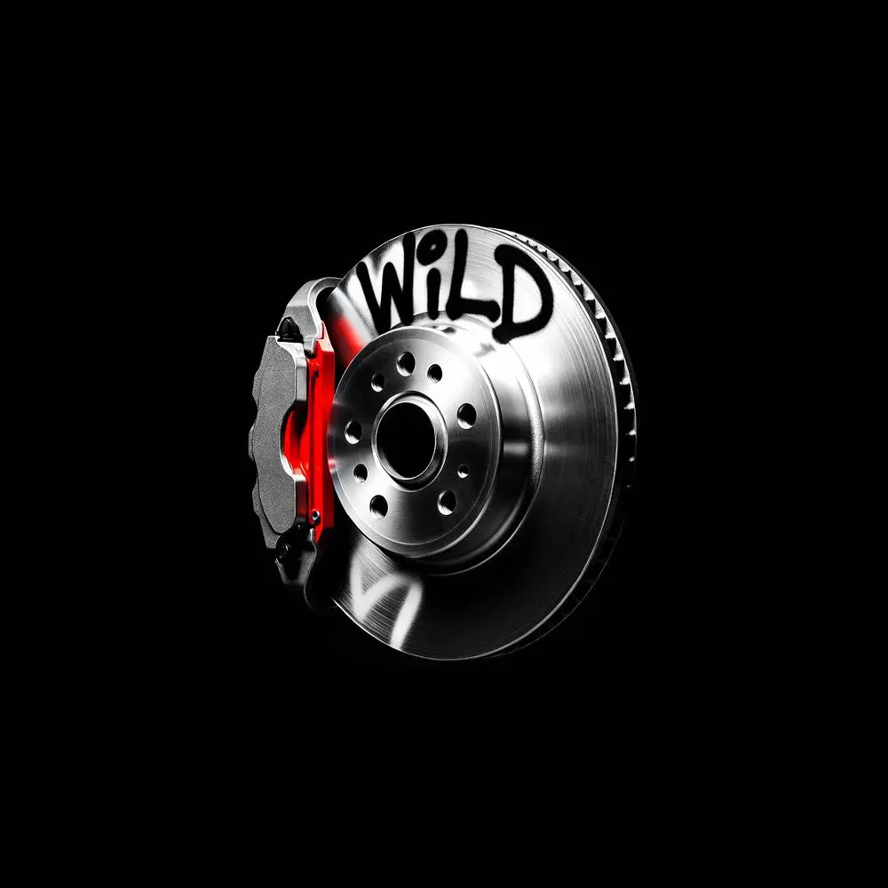 WILD - Rasster & Menshee