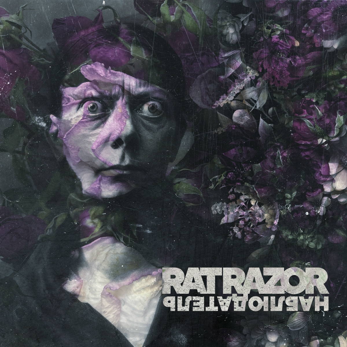 Наблюдатель - Rat Razor