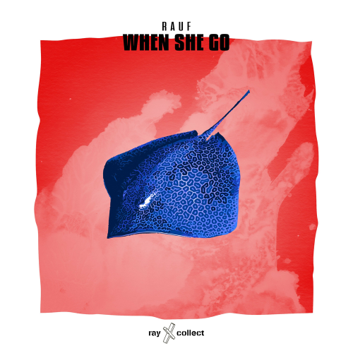 When She Go - Rauf