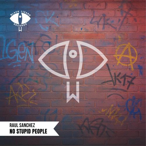 No Stupid People - Raul Sanchez