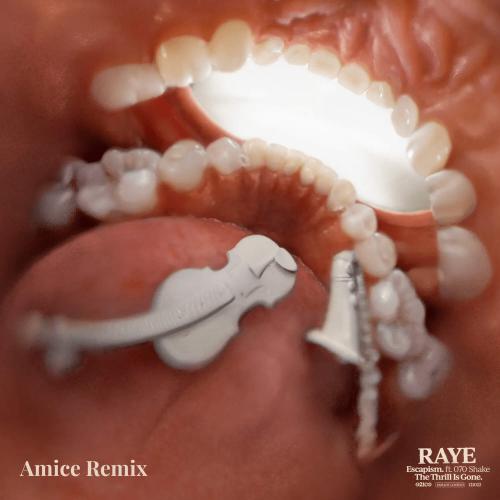Raye feat. 070 Shake - Escapism (Amice Remix)