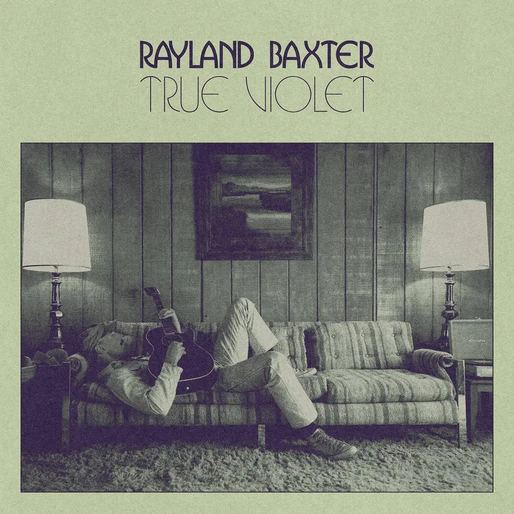 Up and Down a Mountain - Rayland Baxter