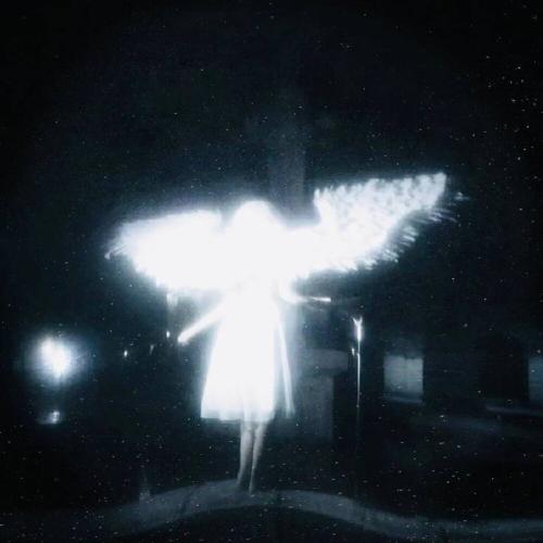 RAYZISSS - Glass Wings