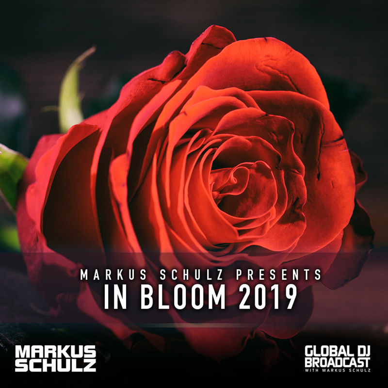 Beyond Time (Gdjb In Bloom 2019) (C-systems Remix) - Raz Nitzan & Ellie Lawson