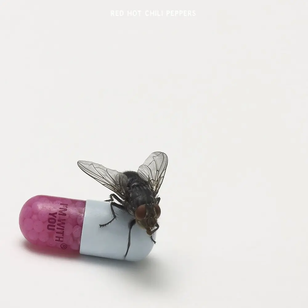 Dance, Dance, Dance - Red Hot Chili Peppers