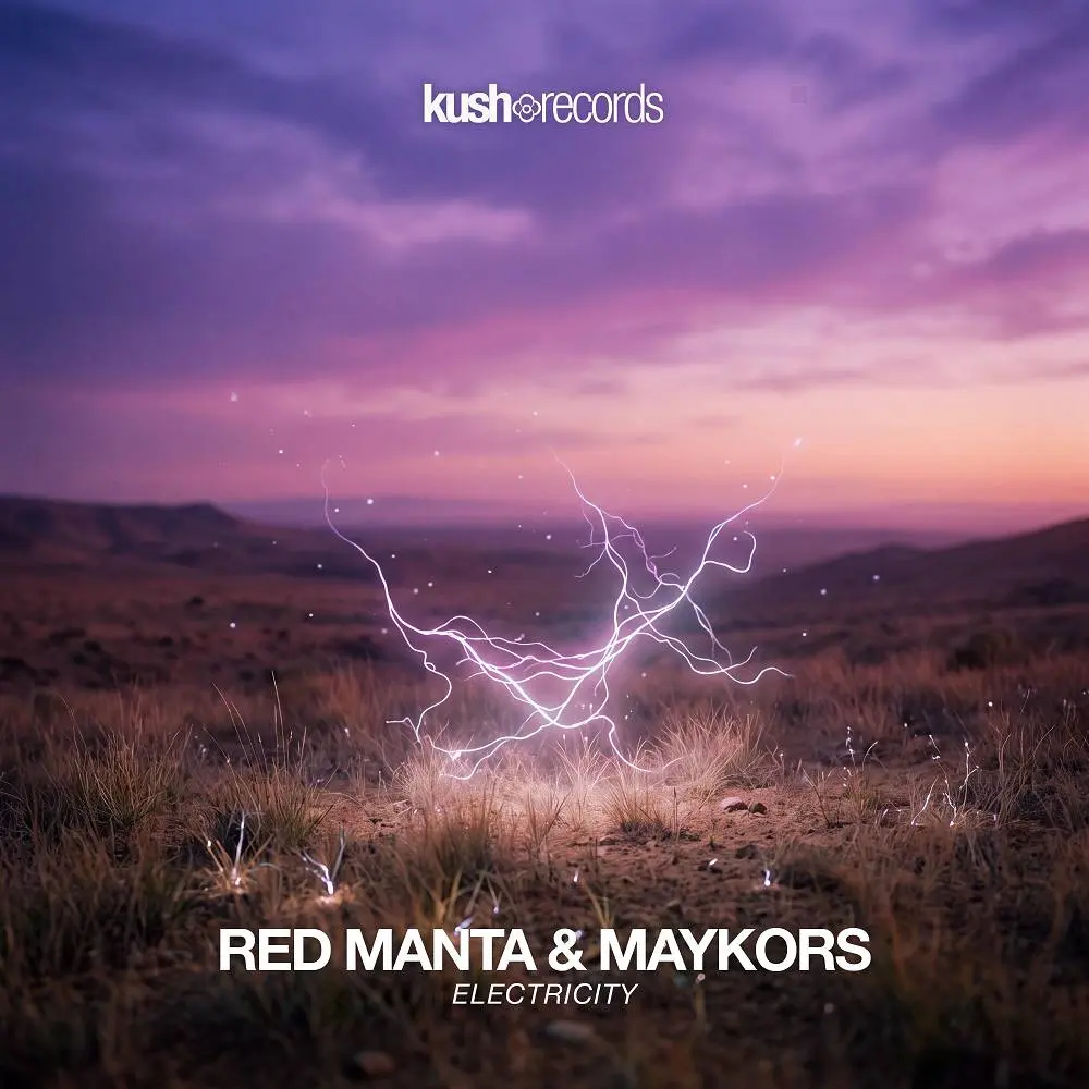 Electricity - Red Manta & Maykors