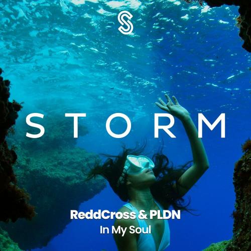 ReddCross & PLDN - In My Soul