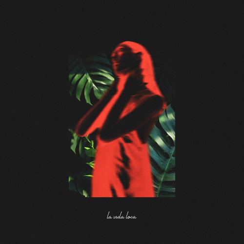 Reddogy, Alexstereotip - La vida loca
