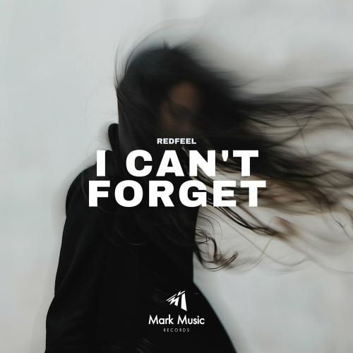 I Can't Forget - redfeel