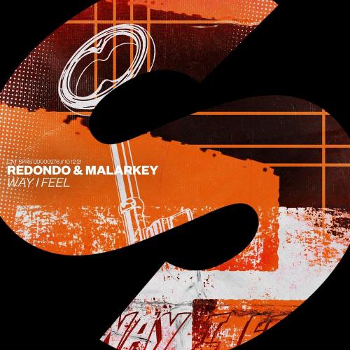 Redondo feat. Malarkey - Way I Feel