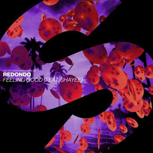 Redondo & Shayee - Feeling Good