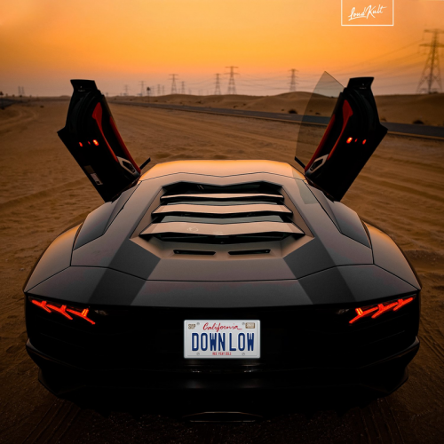 Ree feat. Zeli - Down Low