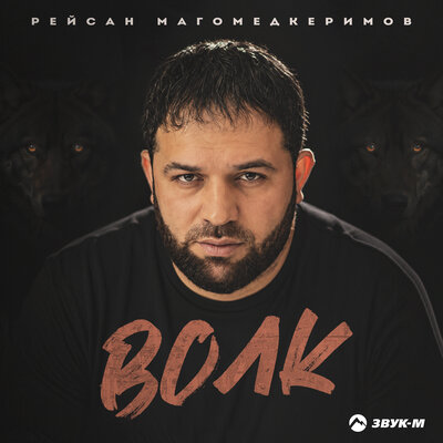 Волк - Рейсан Магомедкеримов