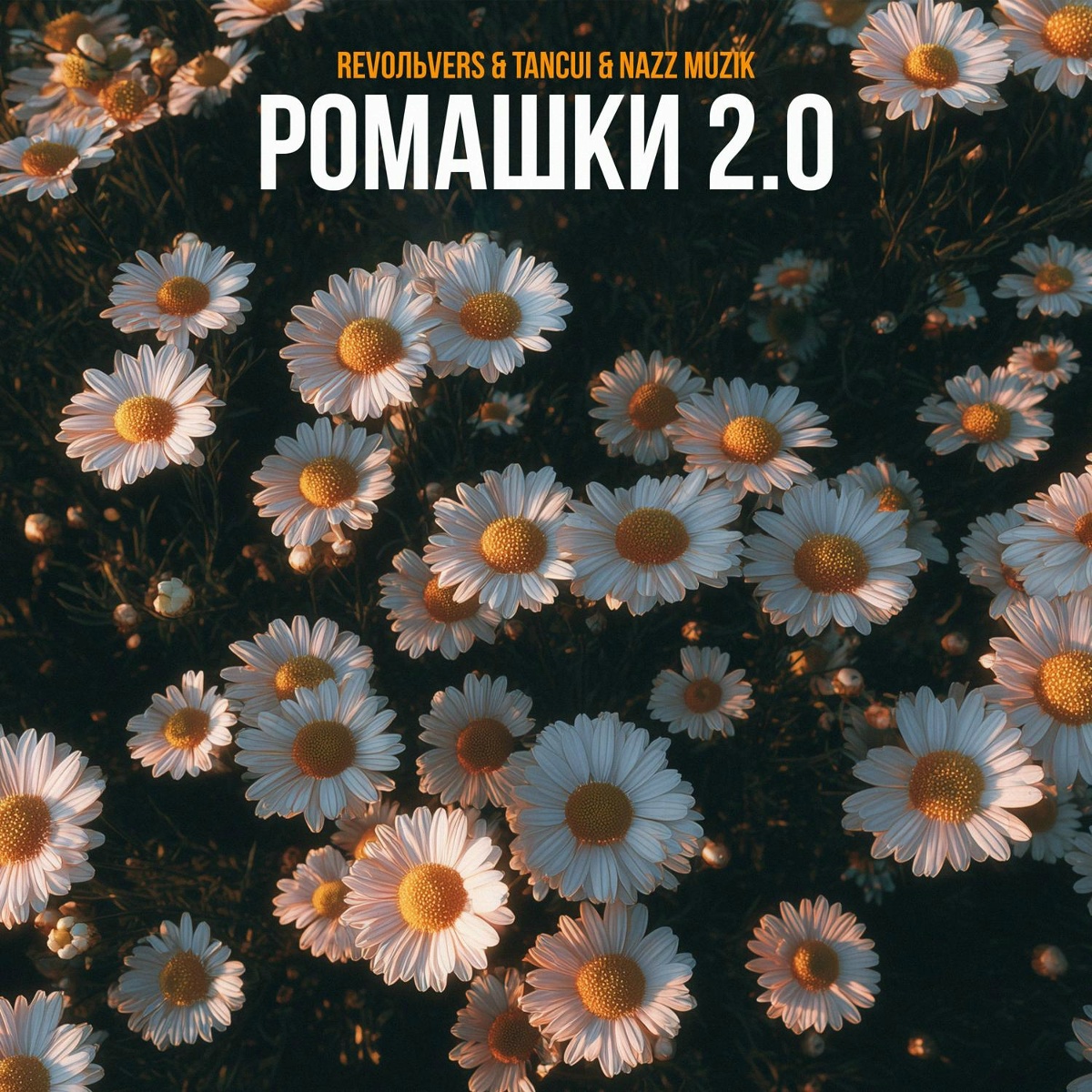 Ромашки 2.0 - Revoльvers, TANCUI, Nazz Muzik