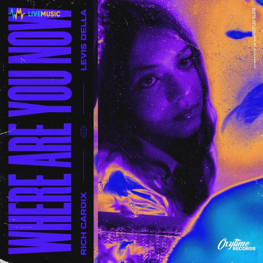 Where Are You Now (Techno) - Rich Cardix, Levis Della