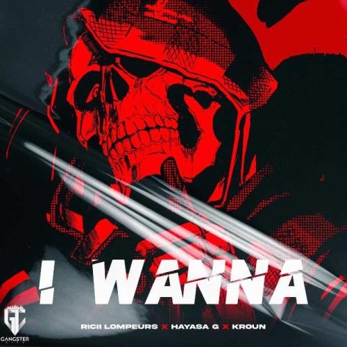 Ricii Lompeurs, HAYASA G, KROUN - I WANNA