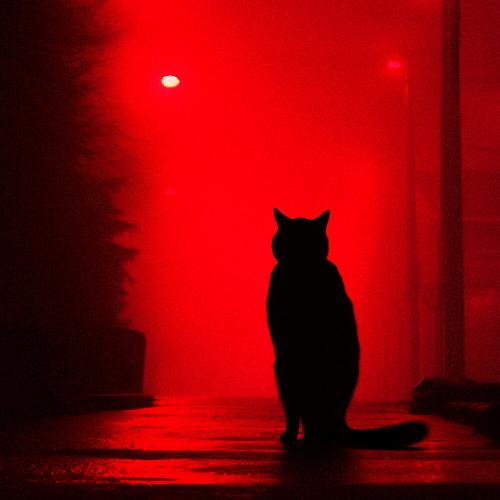 DARK NIGHT - RIHANNO